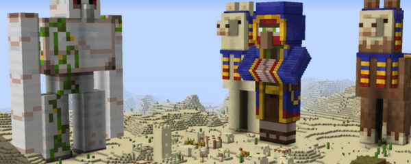 serveur Minecraft